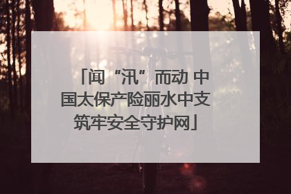 闻“汛”而动 中国太保产险丽水中支筑牢安全守护网