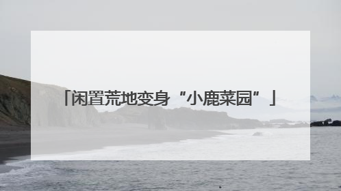 闲置荒地变身“小鹿菜园”