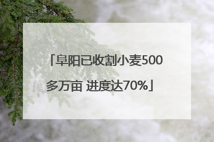 阜阳已收割小麦500多万亩 进度达70%
