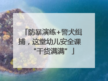 防暴演练+警犬缉捕，这堂幼儿安全课“干货满满”
