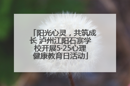 阳光心灵，共筑成长 泸州江阳石寨学校开展5·25心理健康教育日活动