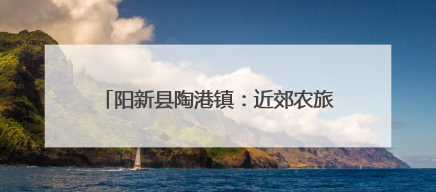 阳新县陶港镇：近郊农旅融合催热“周末经济”