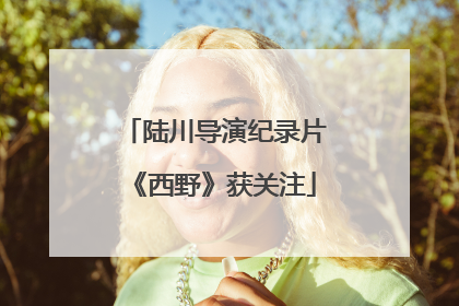 陆川导演纪录片《西野》获关注
