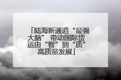 陆海新通道“最强大脑” 带动国际货运由“智”到“质”高质量发展