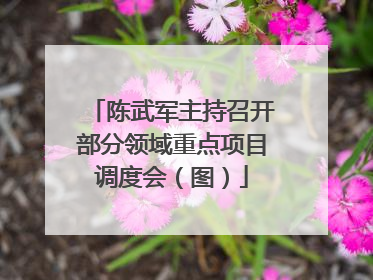 陈武军主持召开部分领域重点项目调度会（图）
