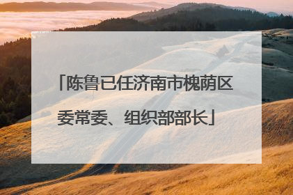 陈鲁已任济南市槐荫区委常委、组织部部长