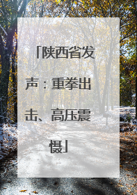 陕西省发声：重拳出击、高压震慑