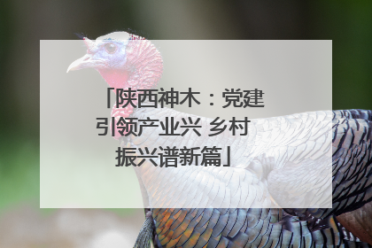 陕西神木：党建引领产业兴 乡村振兴谱新篇