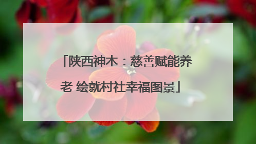 陕西神木：慈善赋能养老 绘就村社幸福图景