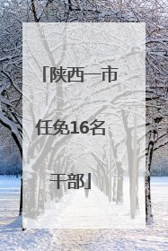 陕西一市任免16名干部