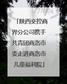陕西交控商界分公司携手共青团商洛市委走进商洛市儿童福利院
