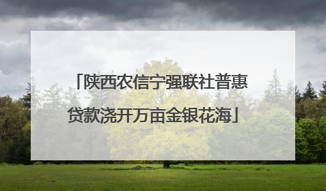 陕西农信宁强联社普惠贷款浇开万亩金银花海