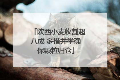 陕西小麦收割超八成 多措并举确保颗粒归仓