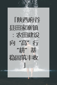陕西府谷县田家寨镇：农田建设向“高”行 “耕”基稳固筑丰收