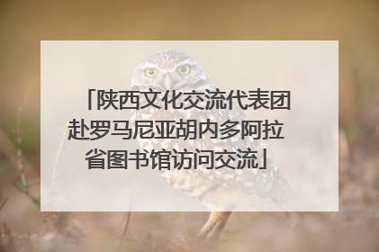 陕西文化交流代表团赴罗马尼亚胡内多阿拉省图书馆访问交流