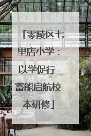 零陵区七里店小学：以学促行 蓄能启航校本研修