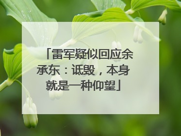 雷军疑似回应余承东：诋毁，本身就是一种仰望