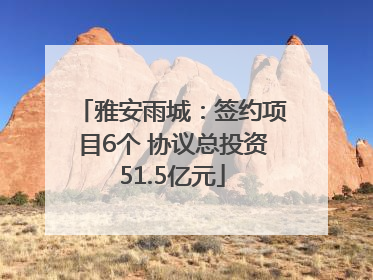 雅安雨城：签约项目6个 协议总投资51.5亿元