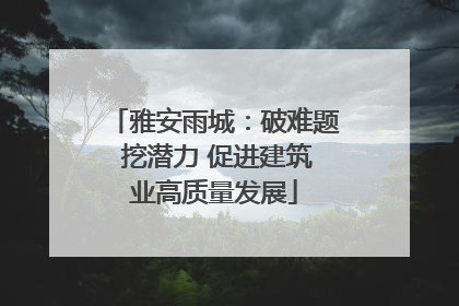 雅安雨城：破难题 挖潜力 促进建筑业高质量发展