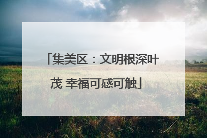 集美区：文明根深叶茂 幸福可感可触