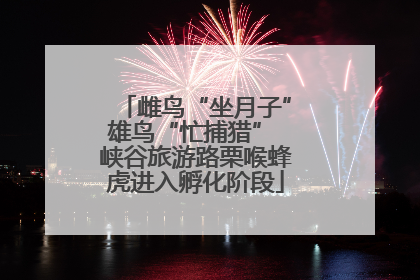 雌鸟“坐月子”雄鸟“忙捕猎” 峡谷旅游路栗喉蜂虎进入孵化阶段