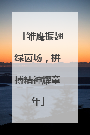 雏鹰振翅绿茵场，拼搏精神耀童年