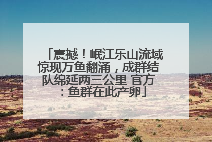 震撼！岷江乐山流域惊现万鱼翻涌，成群结队绵延两三公里 官方：鱼群在此产卵