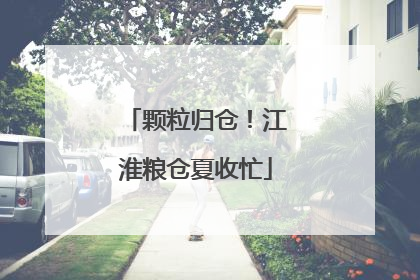 颗粒归仓！江淮粮仓夏收忙