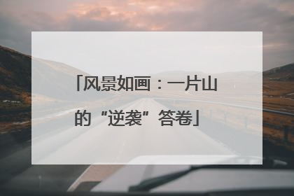 风景如画：一片山的“逆袭”答卷