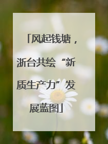 风起钱塘，浙台共绘“新质生产力”发展蓝图