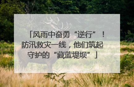 风雨中奋勇“逆行”！防汛救灾一线，他们筑起守护的“藏蓝堤坝”