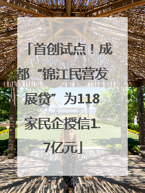 首创试点！成都“锦江民营发展贷”为118家民企授信1.7亿元