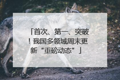 首次、第一、突破！我国多领域周末更新“重磅动态”