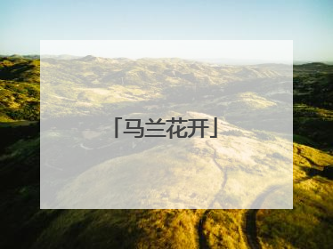 马兰花开