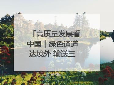 高质量发展看中国｜绿色通道达境外 输送三江“一口鲜”