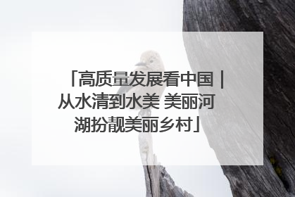 高质量发展看中国｜从水清到水美 美丽河湖扮靓美丽乡村