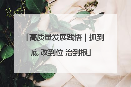 高质量发展践悟｜抓到底 改到位 治到根