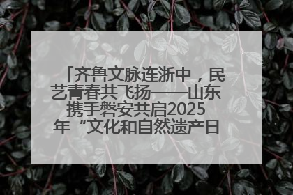齐鲁文脉连浙中，民艺青春共飞扬——山东携手磐安共启2025年“文化和自然遗产日”系列活动
