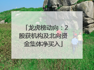 龙虎榜动向：2股获机构及北向资金集体净买入