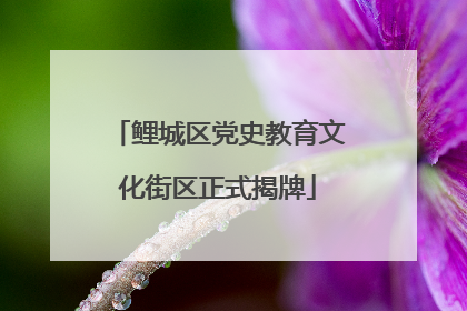 鲤城区党史教育文化街区正式揭牌