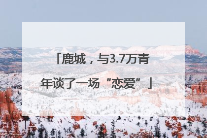 鹿城，与3.7万青年谈了一场“恋爱”