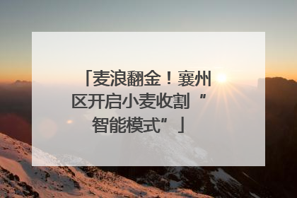 麦浪翻金！襄州区开启小麦收割“智能模式”