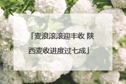 麦浪滚滚迎丰收 陕西麦收进度过七成