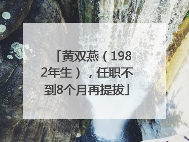 黄双燕（1982年生），任职不到8个月再提拔