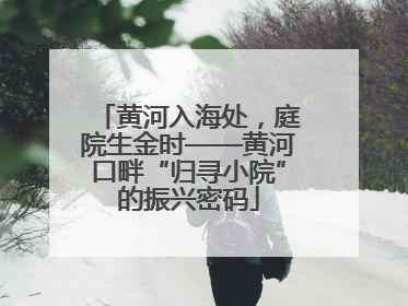 黄河入海处，庭院生金时——黄河口畔“归寻小院”的振兴密码