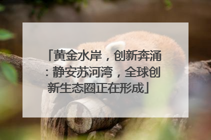 黄金水岸，创新奔涌：静安苏河湾，全球创新生态圈正在形成