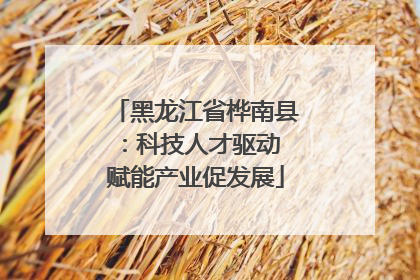 黑龙江省桦南县：科技人才驱动 赋能产业促发展