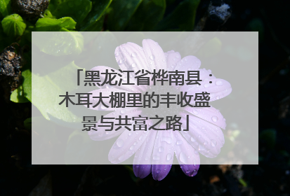 黑龙江省桦南县：木耳大棚里的丰收盛景与共富之路