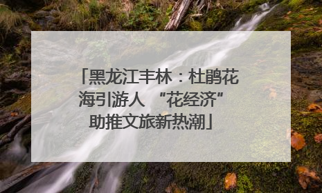 黑龙江丰林：杜鹃花海引游人 “花经济”助推文旅新热潮