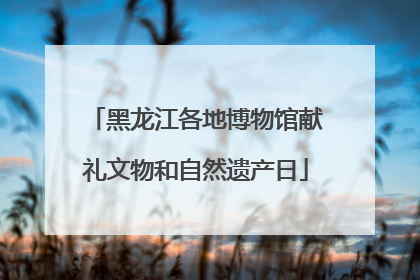 黑龙江各地博物馆献礼文物和自然遗产日